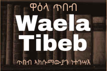 Waela Tibeb North America 3rd round 2024