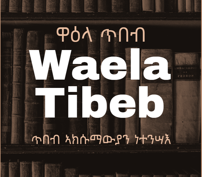 Waela Tibeb North America 3rd round 2024